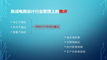 首套国产IC设计企业管理软件亮相中国电子信息博览会，软件开发新篇章